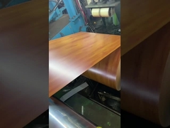 PPGI galvanizou a bobina de aço